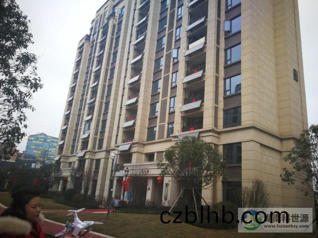 陽檯壁掛太陽能熱水係統